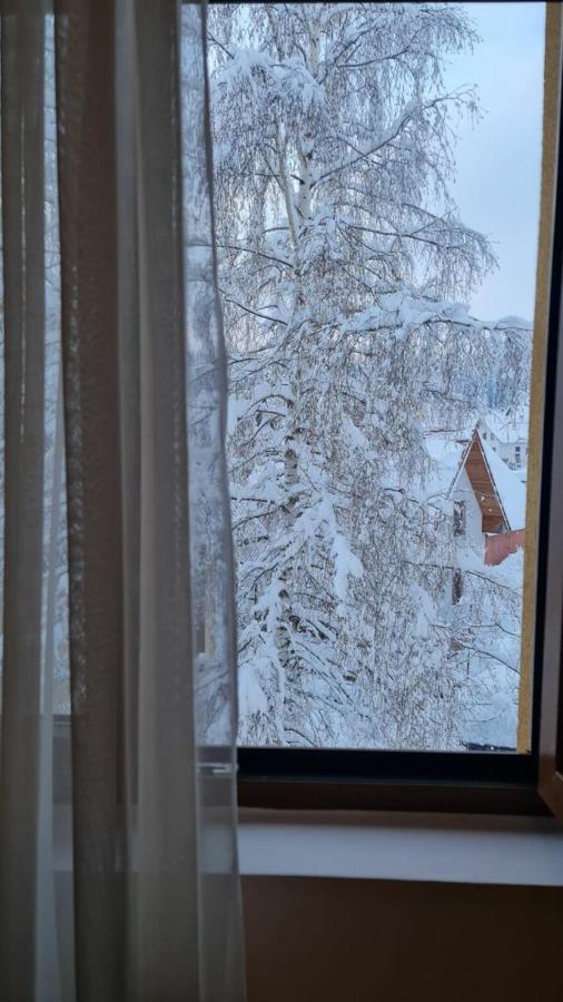 Borovnica Sweet Apartments Žabljak Kültér fotó