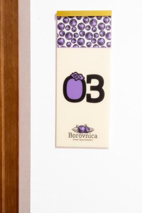 Borovnica Sweet Apartments Žabljak Kültér fotó